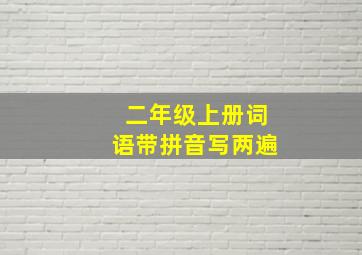 二年级上册词语带拼音写两遍