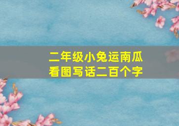 二年级小兔运南瓜看图写话二百个字