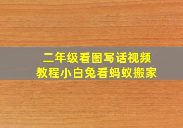 二年级看图写话视频教程小白兔看蚂蚁搬家