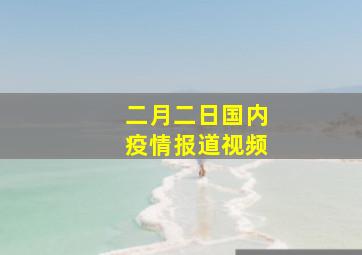 二月二日国内疫情报道视频