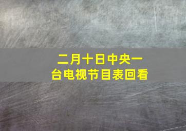 二月十日中央一台电视节目表回看