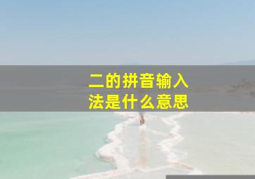 二的拼音输入法是什么意思