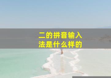 二的拼音输入法是什么样的