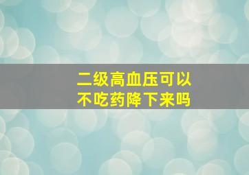 二级高血压可以不吃药降下来吗