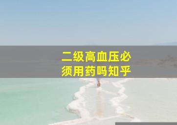 二级高血压必须用药吗知乎