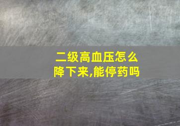 二级高血压怎么降下来,能停药吗