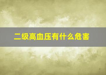 二级高血压有什么危害