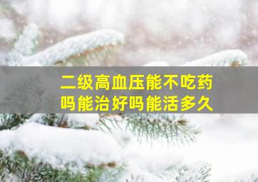 二级高血压能不吃药吗能治好吗能活多久