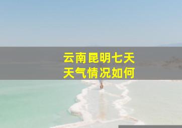 云南昆明七天天气情况如何