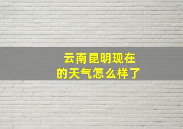 云南昆明现在的天气怎么样了