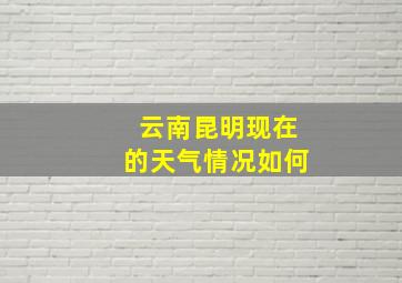 云南昆明现在的天气情况如何