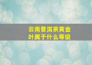 云南普洱茶黄金叶属于什么等级