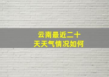 云南最近二十天天气情况如何