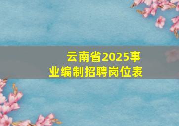 云南省2025事业编制招聘岗位表