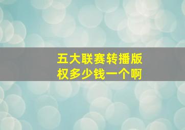 五大联赛转播版权多少钱一个啊