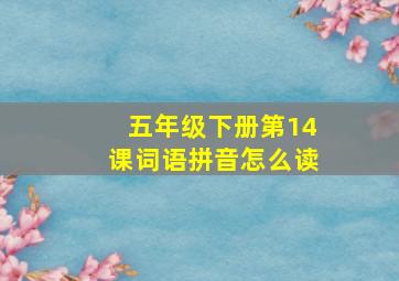 五年级下册第14课词语拼音怎么读