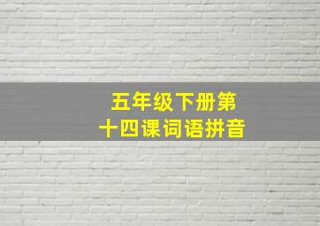 五年级下册第十四课词语拼音