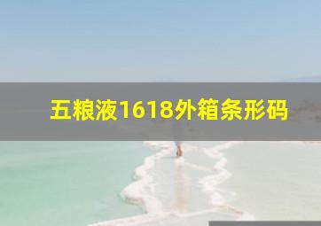 五粮液1618外箱条形码