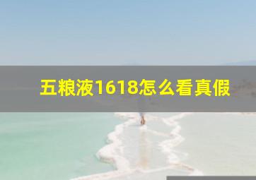 五粮液1618怎么看真假