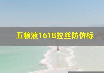 五粮液1618拉丝防伪标