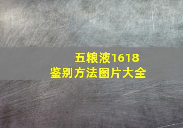 五粮液1618鉴别方法图片大全