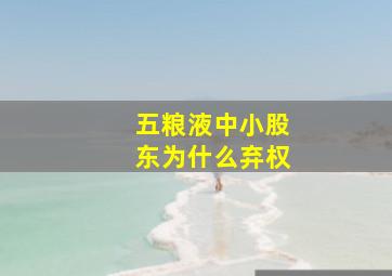 五粮液中小股东为什么弃权