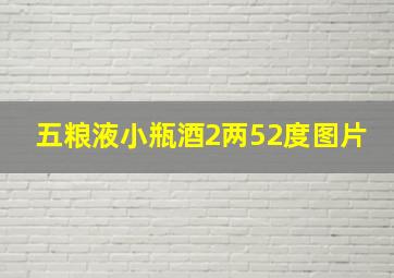 五粮液小瓶酒2两52度图片