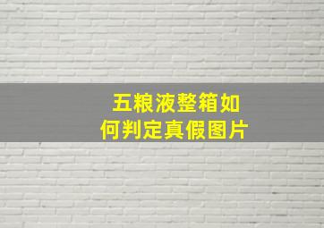 五粮液整箱如何判定真假图片