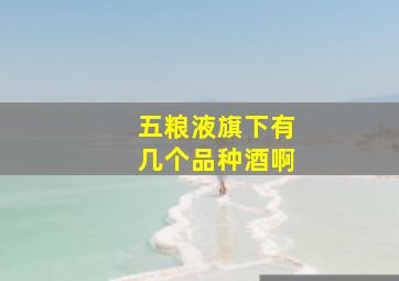 五粮液旗下有几个品种酒啊