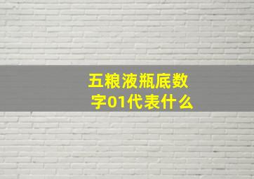 五粮液瓶底数字01代表什么