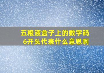 五粮液盒子上的数字码6开头代表什么意思啊