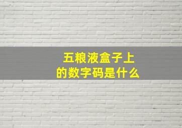 五粮液盒子上的数字码是什么