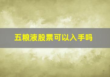 五粮液股票可以入手吗