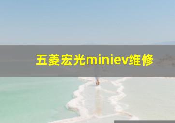 五菱宏光miniev维修