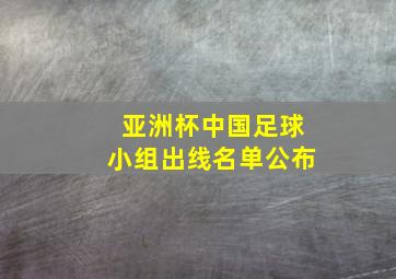 亚洲杯中国足球小组出线名单公布