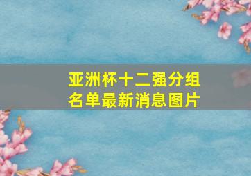 亚洲杯十二强分组名单最新消息图片