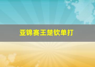 亚锦赛王楚钦单打