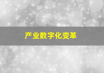 产业数字化变革