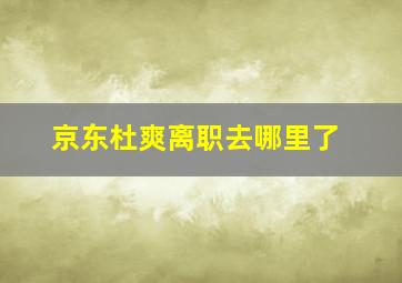 京东杜爽离职去哪里了