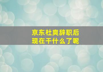 京东杜爽辞职后现在干什么了呢