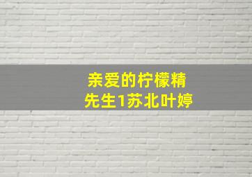 亲爱的柠檬精先生1苏北叶婷