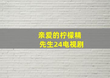 亲爱的柠檬精先生24电视剧