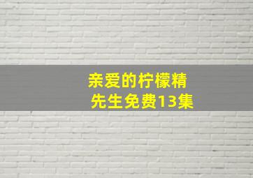 亲爱的柠檬精先生免费13集