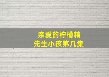 亲爱的柠檬精先生小孩第几集