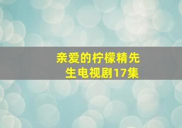 亲爱的柠檬精先生电视剧17集