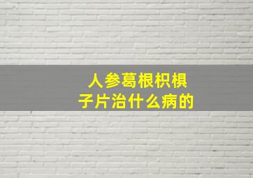 人参葛根枳椇子片治什么病的