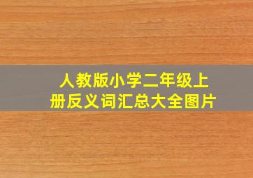 人教版小学二年级上册反义词汇总大全图片