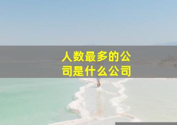 人数最多的公司是什么公司