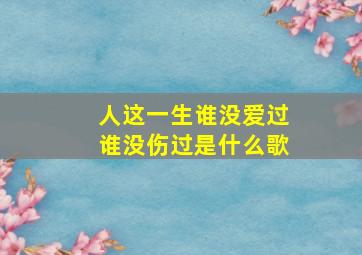 人这一生谁没爱过谁没伤过是什么歌