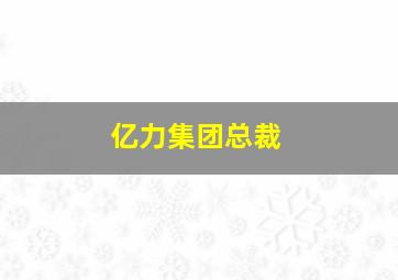 亿力集团总裁